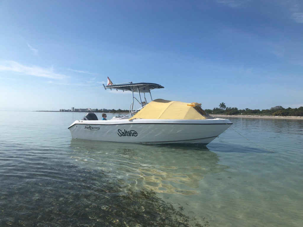 Pro Sports 220 CC center console boat shade bow dodger tent, Pro Sports